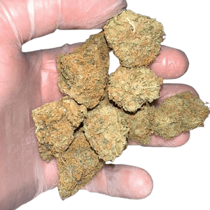 Nightmare runtz strain