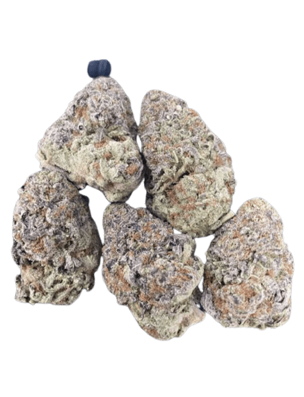 Runtz buttonz strain
