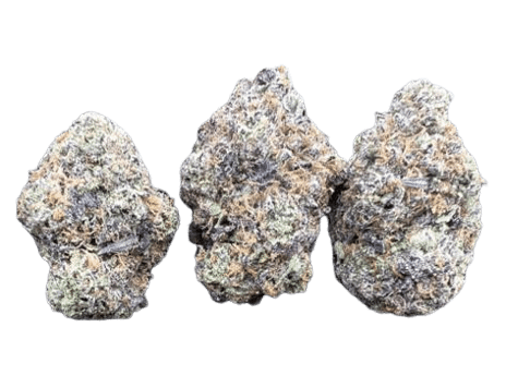 Jelly runtz strain