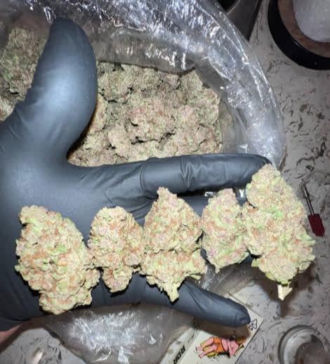 Monchi runtz strain