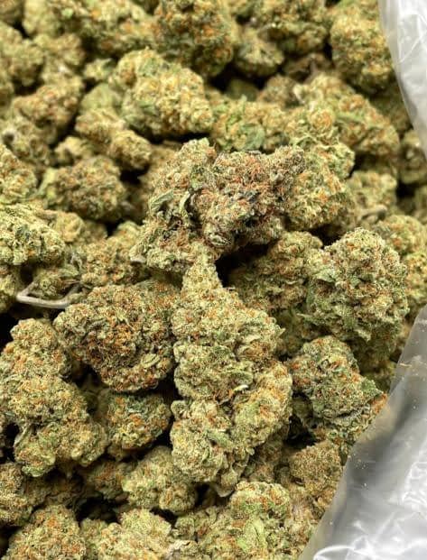 midnight runtz strain